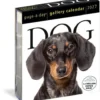 Dog Page-A-Day® Gallery Calendar 2027