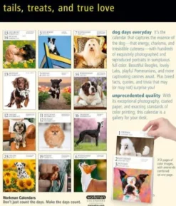 Dog Page-A-Day® Gallery Calendar 2027