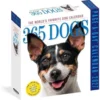 365 Dogs Page-A-Day® Calendar 2027