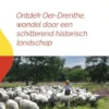 Drenthepad