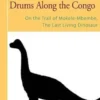 Drums Along the Congo