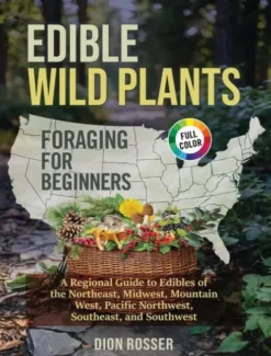 Edible Wild Plants Foraging for Beginners