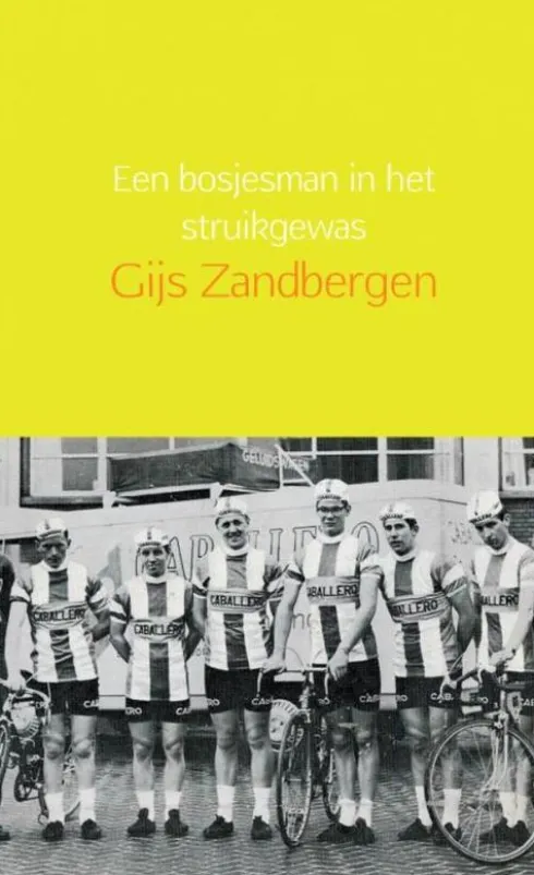 Een bosjesman in het struikgewas