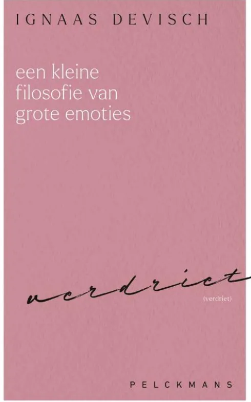 Een kleine filosofie van grote emoties: Verdriet
