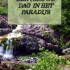 Een nieuwe dag in het paradijs