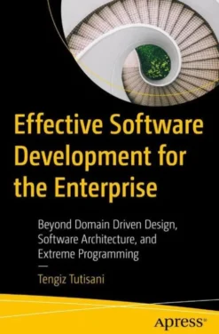 Effective Software Development for the Enterprise