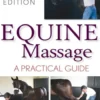 Equine Massage