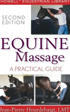 Equine Massage