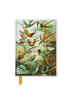 Ernst Haeckel: Hummingbirds (Foiled Pocket Journal)