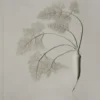 Essential