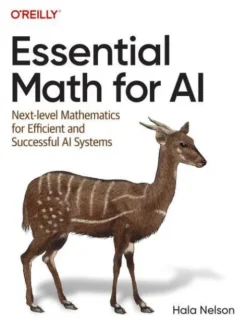 Essential Math for AI