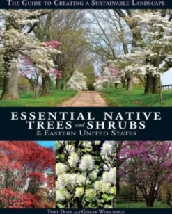 Essential Native Trees and Shrubs for the Eastern United States
