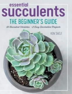 Essential Succulents: The Beginner's Guide