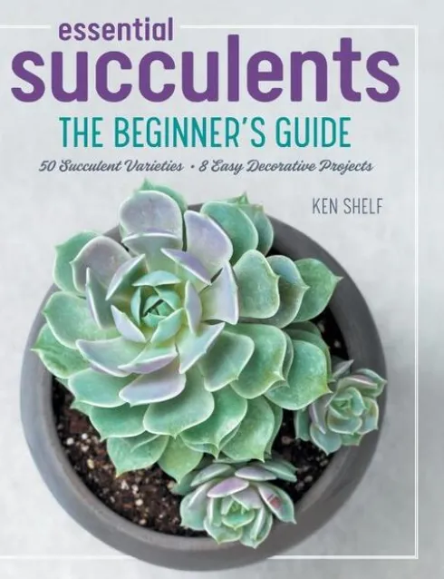 Essential Succulents: The Beginner's Guide
