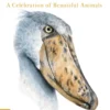 Evolution: A Celebration of Beautiful Animals