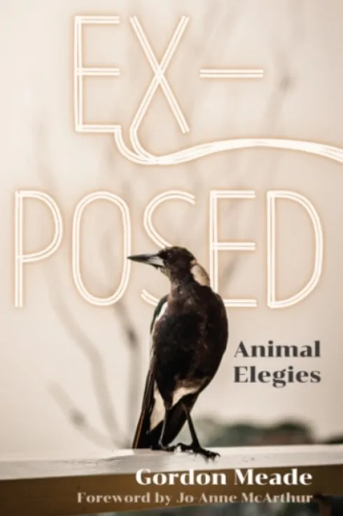 Ex-Posed