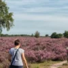 Falk Regiokaart Veluwe Noord