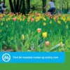 Falk VVV Fietskaart 14 Zuid-Holland NOORD