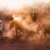 Field Notes