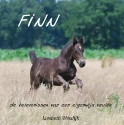 Finn