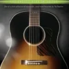 First 50 Songs by the Beatles
