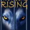 Five Moons Rising