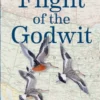 Flight of the Godwit