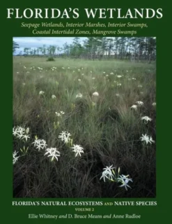 Florida's Wetlands