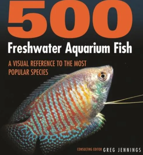 500 Freshwater Aquarium Fish