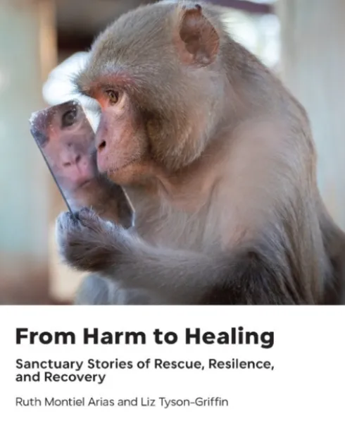 From Harm to Healing