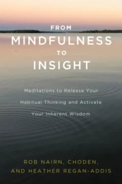 From Mindfulness to Insight
