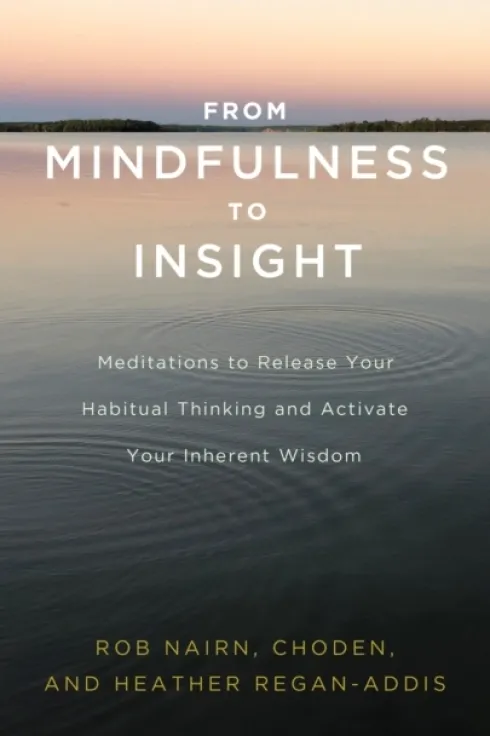 From Mindfulness to Insight