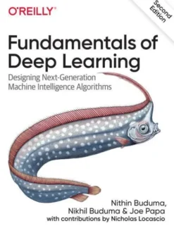 Fundamentals of Deep Learning