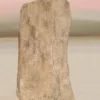 Gedachtenboek