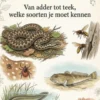 Gevaarlijke Dieren in Nederland