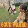 Goud waard