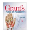 Grant's Atlas of Anatomy