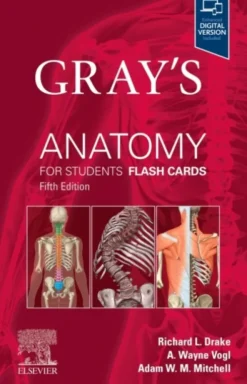 Gray's Anatomy for Students Flash Cards