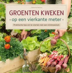 Groenten kweken op een vierkante meter