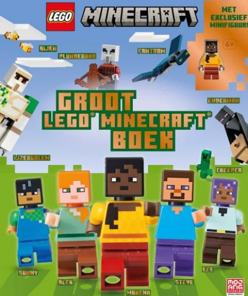 Groot LEGO® Minecraft™ boek