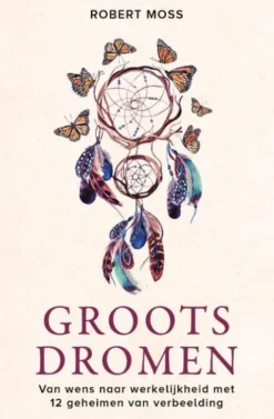 Groots dromen