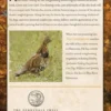 Grouse and Lesser Gods