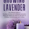 Growing Lavender