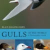 Gulls of the World