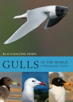 Gulls of the World
