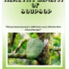 Health Benefit of Soursop: "Did you know Soursop is 1000 times more effective than Chemotherapy?"