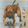Help mijn hond trekt!