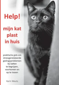Help, mijn kat plast in huis
