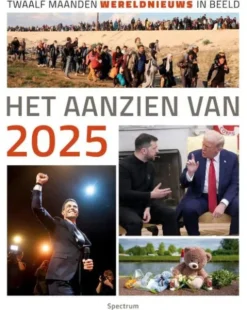 Het aanzien van 2025
