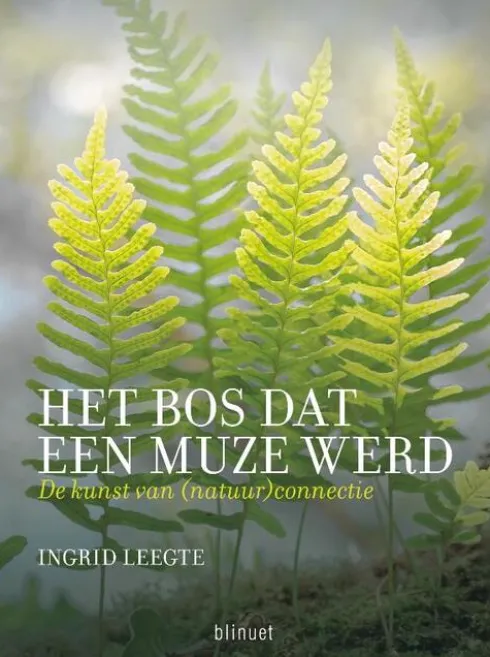 Het bos dat een muze werd